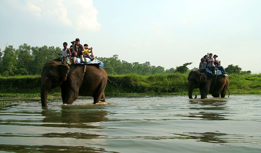 Kathmandu - Chitwan Jungle Safari