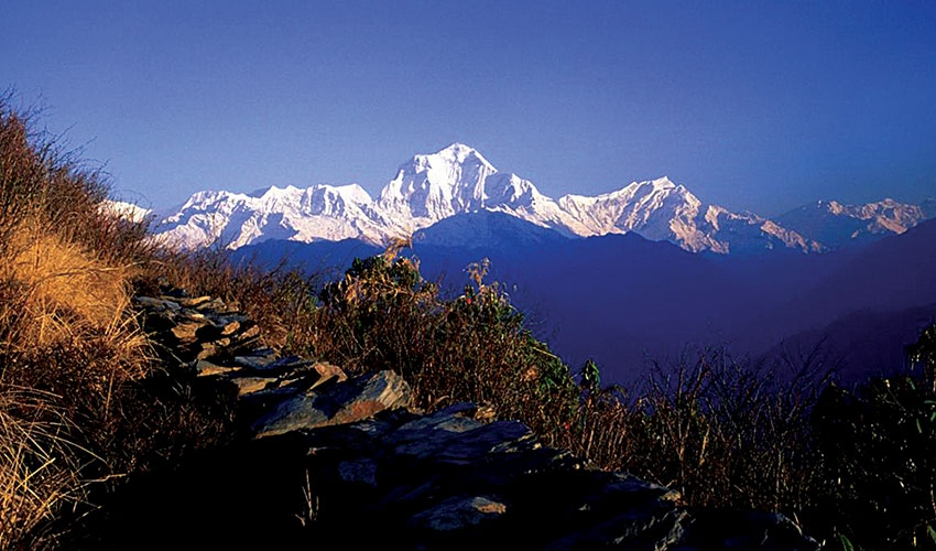 Ghorepani Ghandruk Trek