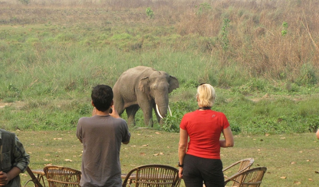 Chitwan Jungle Safari